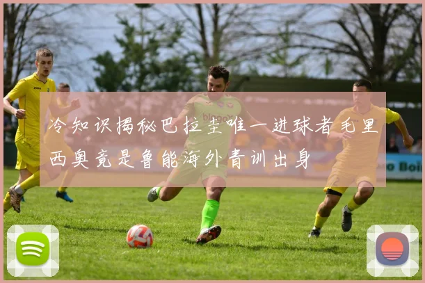 冷知识揭秘巴拉圭唯一进球者毛里西奥竟是鲁能海外青训出身